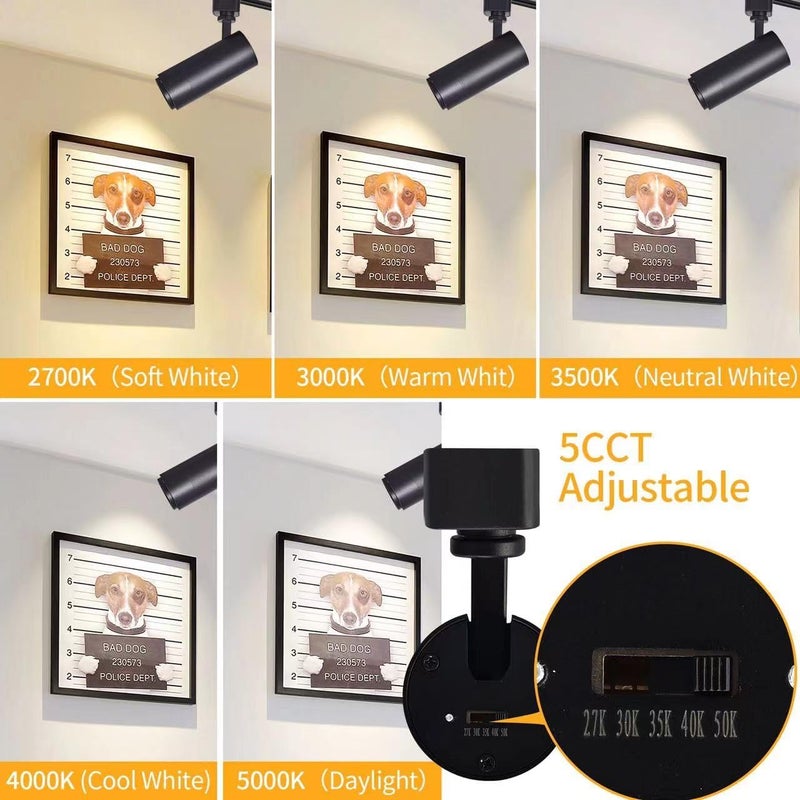 Ajbvp رؤوس إضاءة LED على القضبان 5CCT 12W قابلة للتعتيم، شعاع قابل للتكبير 15°/24°/36°/45°/60°، 2700K/3000K/3500K/4000K/5000K، رؤوس إضاءة على القضبان H دائرة واحدة، إضاءة فنية، أسود - 4 عبوات - Image 2